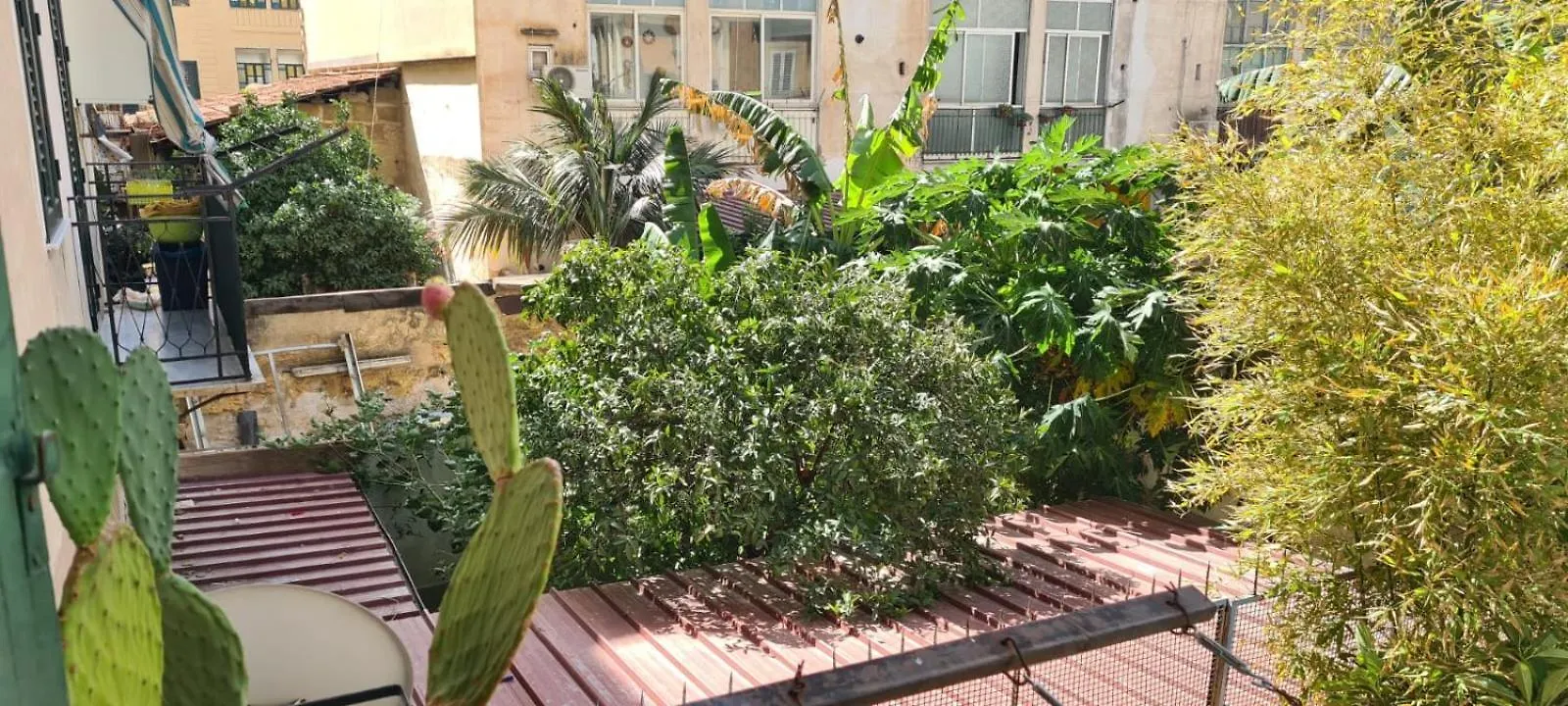 アパート パレルモCasa Cactus Sapidduアパートメント